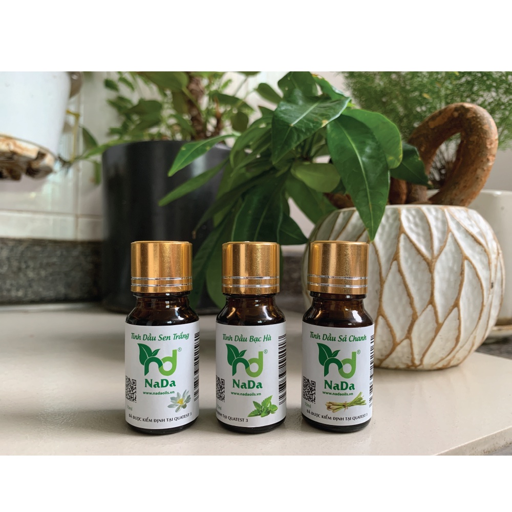 Combo 3 chai tinh dầu Nada kiểm định quatest 3 chai 10ml dễ ngủ, khử mùi
