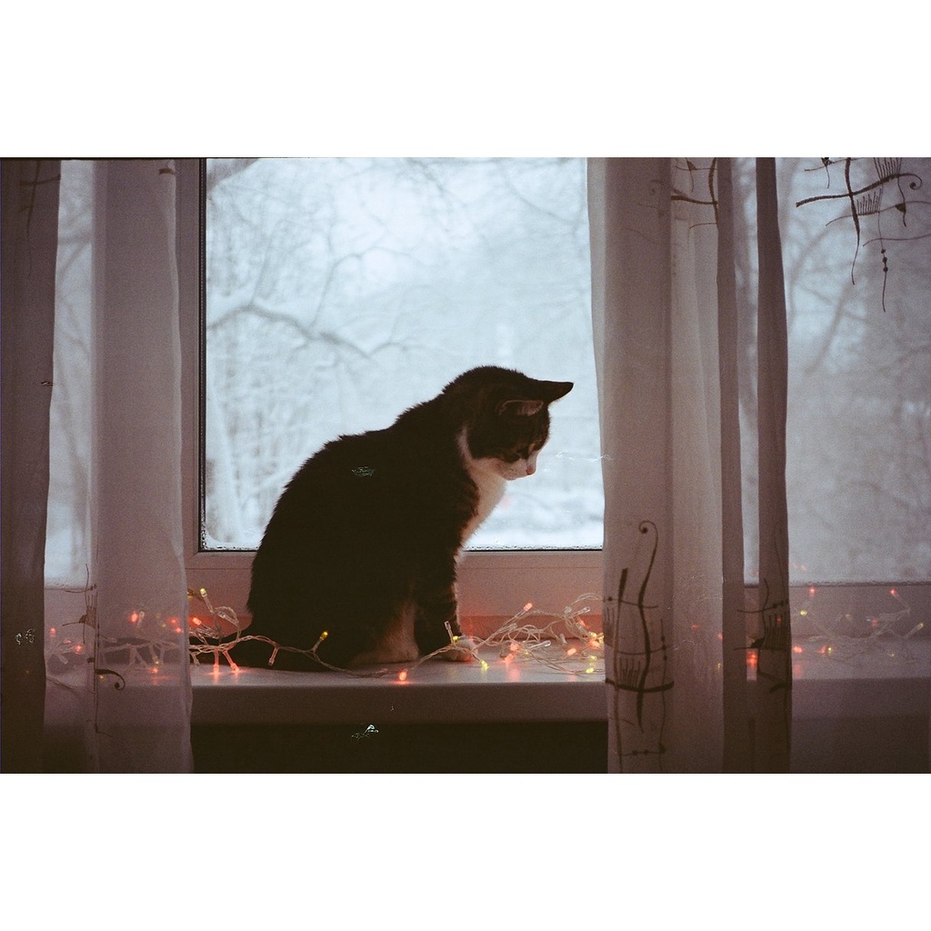 Máy ảnh Minolta Hi-Matic AF2-MD