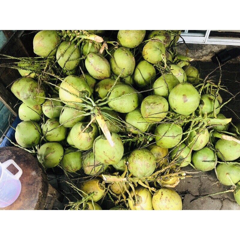 Dừa xiêm tươi