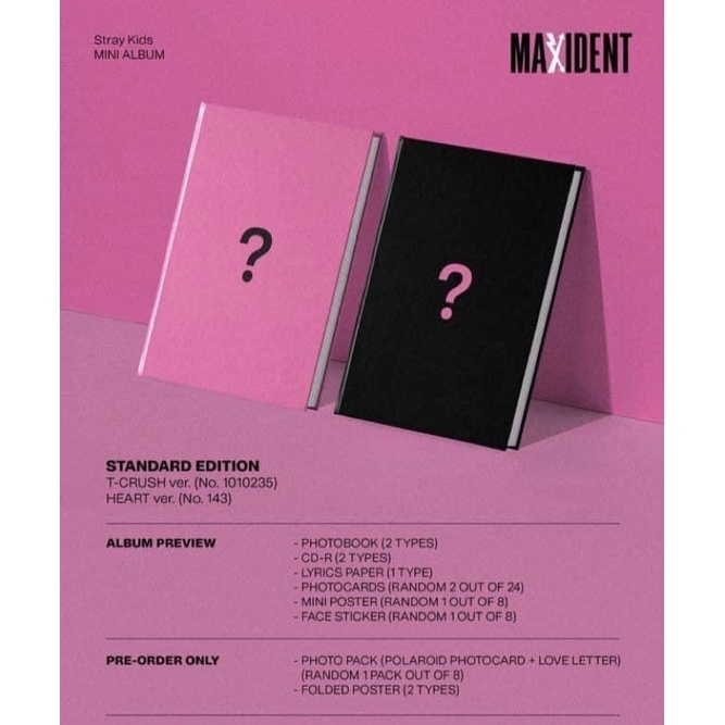 HÌNH ẢNH STRAY KIDS MAXIDENT T-CRUSH