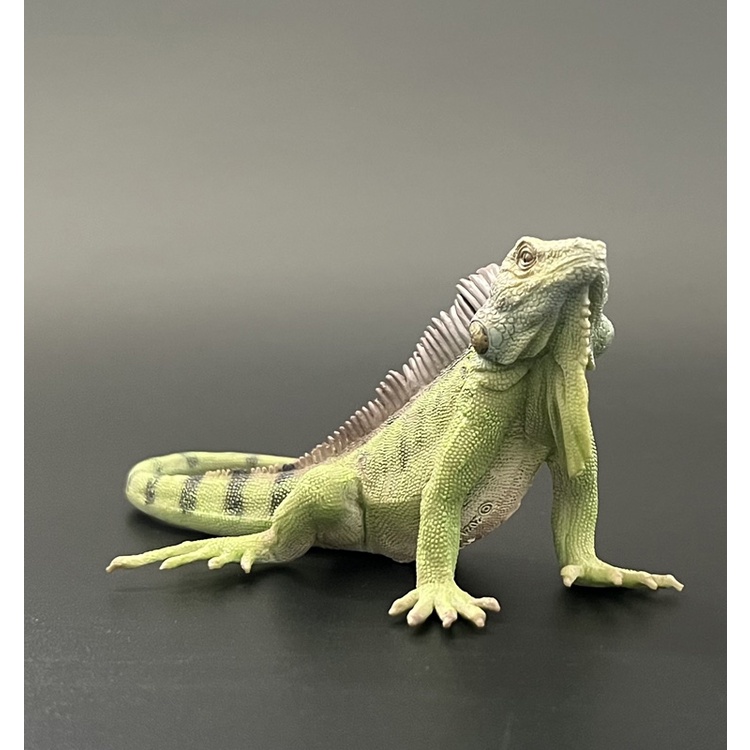 Mô Hình Đồ Chơi Động Vật Mô Phỏng iguana 2022 88965