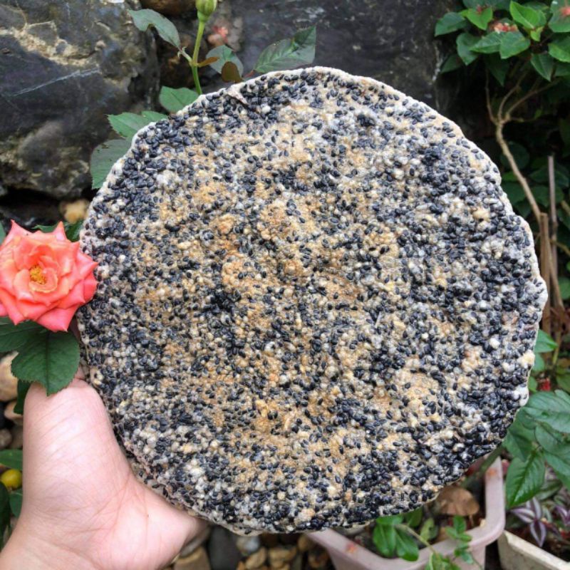 Bánh Khô Đô Lương.