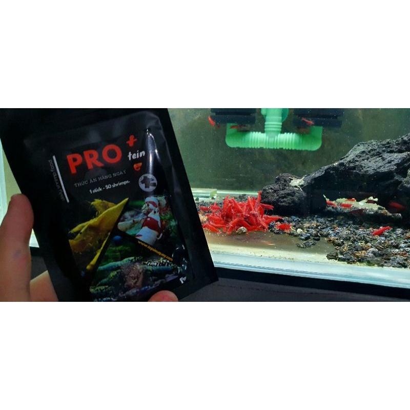 Thức ăn tép cảnh PRO