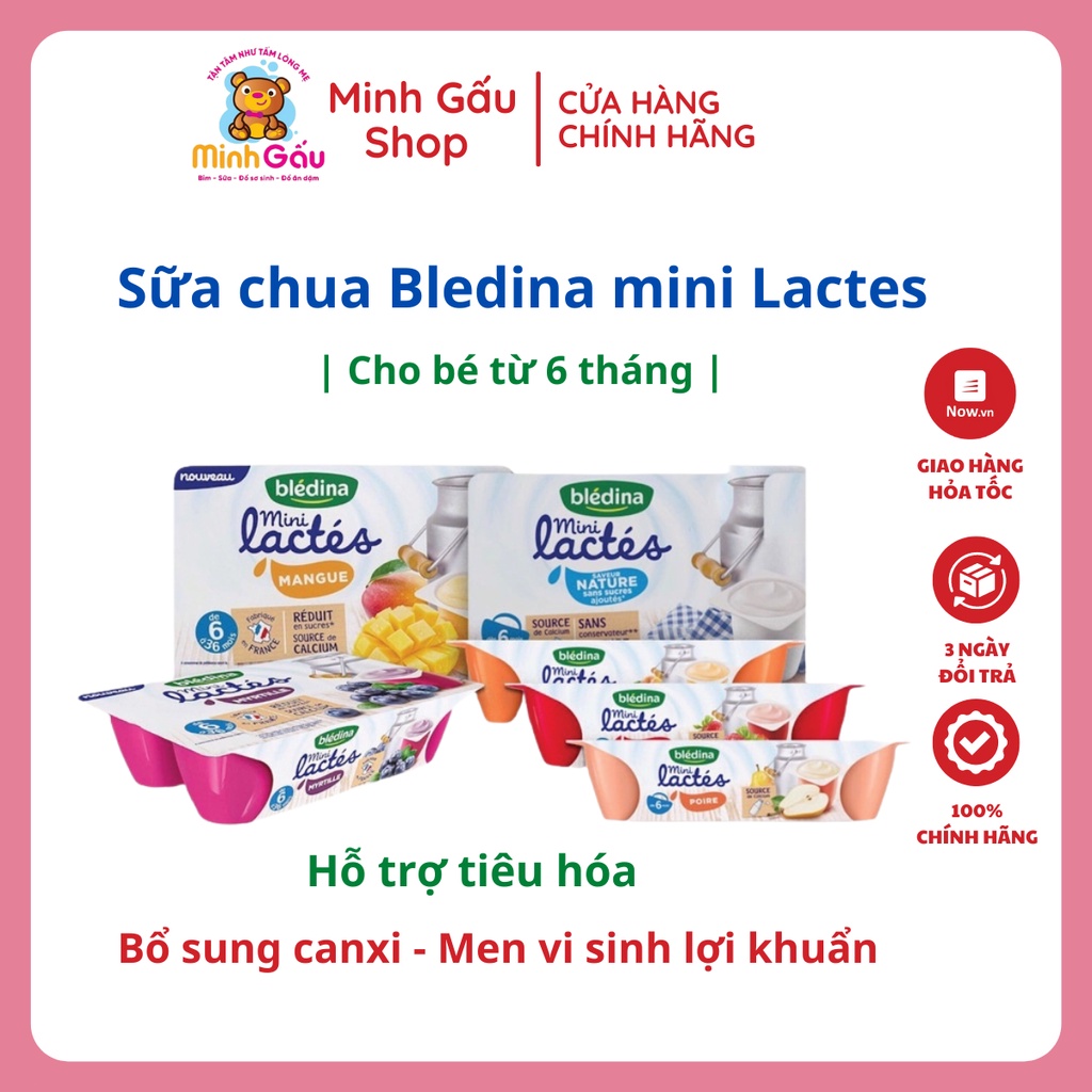 Sữa chua nguội Bledina Pháp nhiều vị