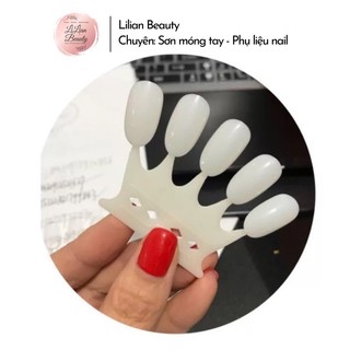 Set 10 vĩ móng hình vương miện