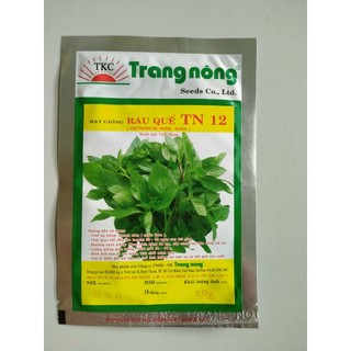 Hạt rau quế tn12 gói 10g