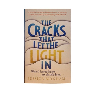 [Mã BMLT35 giảm đến 35K] Sách - The Cracks That Let The Light In