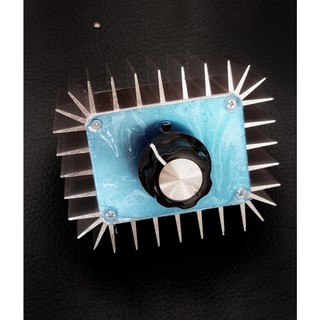Bộ điều tốc động cơ (Dimmer 5000w- điện áp 220V)