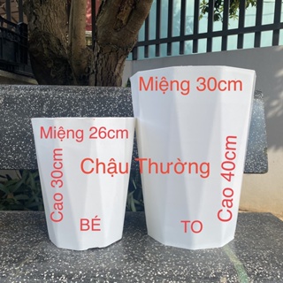 COMBO 05 Chậu nhựa ZOZO trồng cây kim cương vân giả đá loại 1 dày dặn