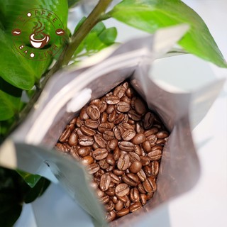 Cà Phê Nguyên Chất BL64 Thành Phần 60% Robusta+40% Arabica Rang Mộc Pha Phin, Pha Máy