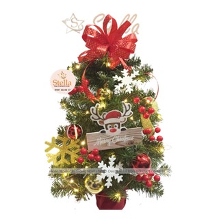 Cây thông Noel mini trang trí lễ hội Giáng sinh cao 45cm 65cm Stella Party