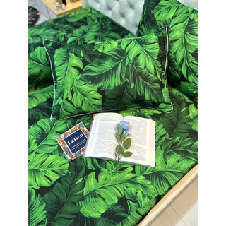 BỘ DRAP THUN SIÊU LẠNH LỤA LATICO THÁI LAN CAO CẤP MỚI (ÔM KHOÁ KÉO)