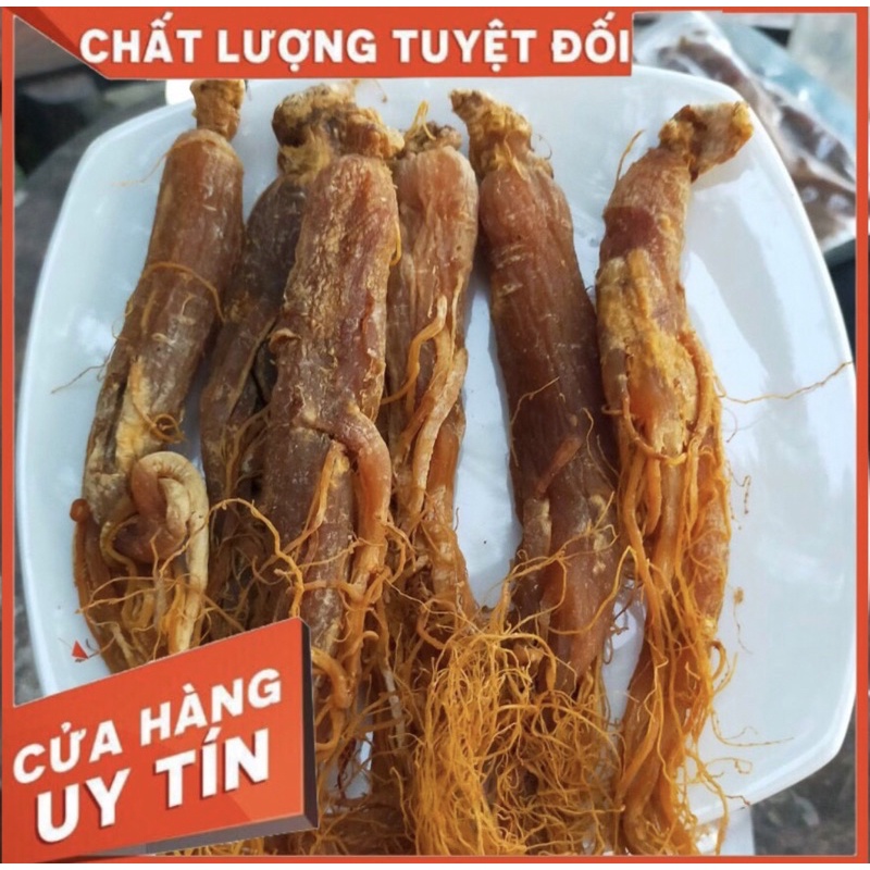 100gr Nhân sâm bồi bổ cơ thể (1 Lạng 4-5 củ)