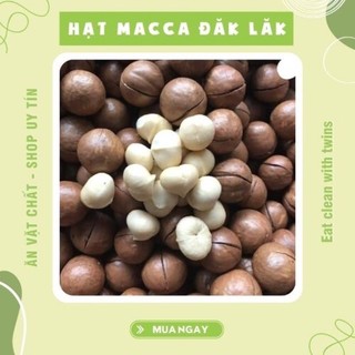Macca Đăk Lăk| Hạt Macca Nứt Vỏ Giàu Dinh Dưỡng Cho Cả Gia Đình 500g