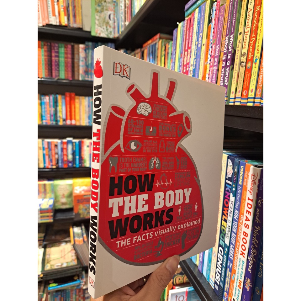 Sách - How Body Works