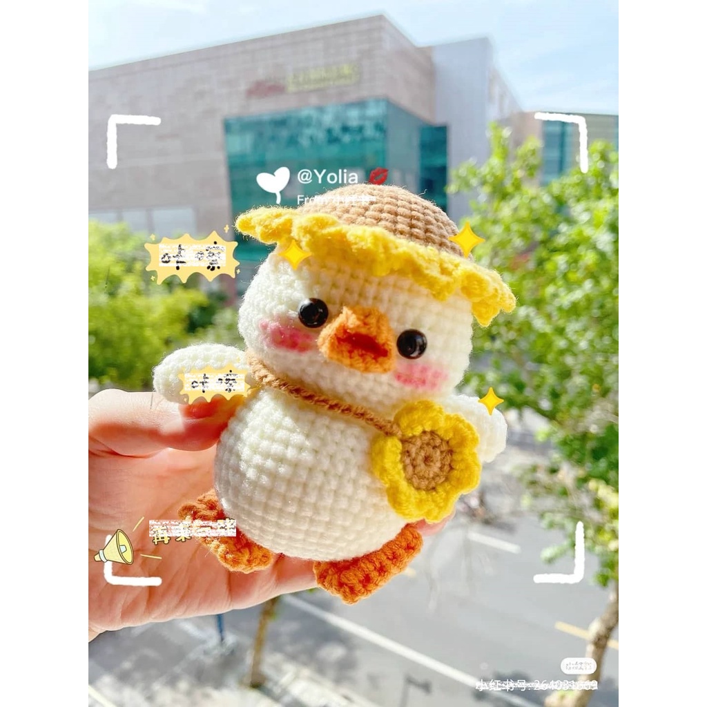 Vịt Hướng Dương Vịt Đi Học Len
