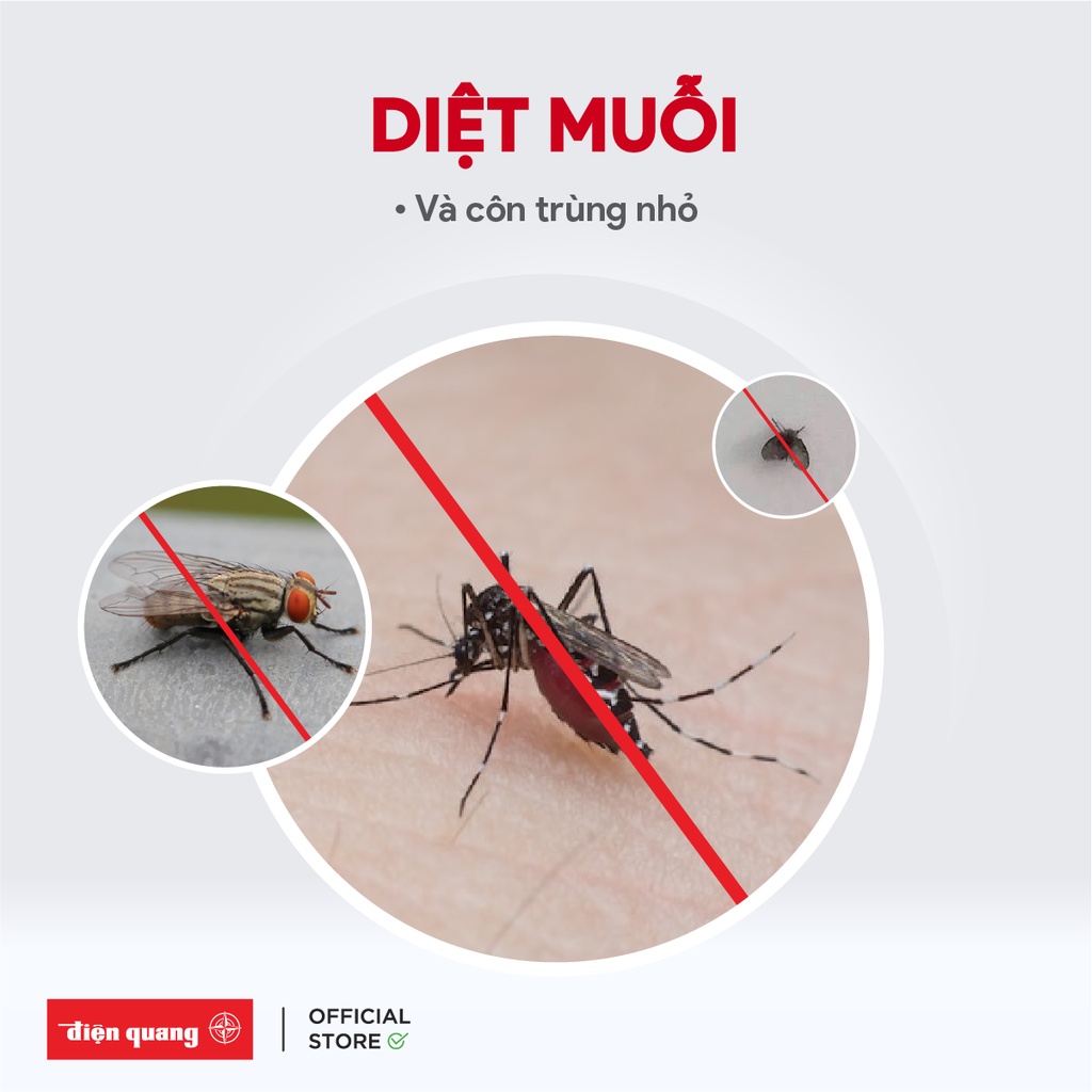 Đèn bắt muỗi Điện Quang ĐQ EML03 BR