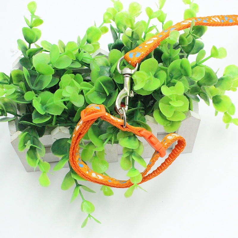 Dây Dắt Kèm Vòng Cổ Chuông Nhiều Màu Sắc Cho Chó Mèo