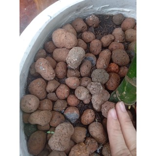 Viên đẩt nung-1kg(chỉ giao hỏa tốc HCM)