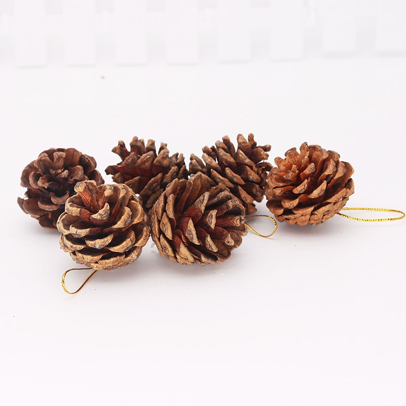 Túi 6 Quả Thông Khô