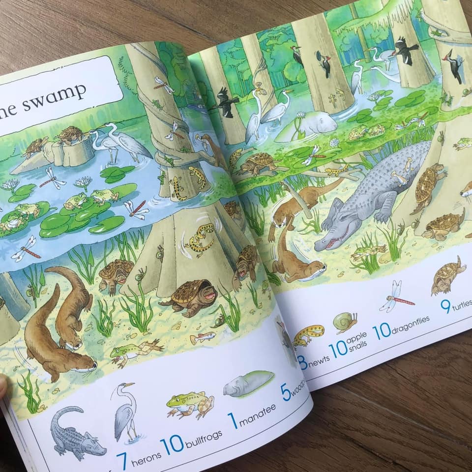 BIG BOOK OF THINGS TO SPOT