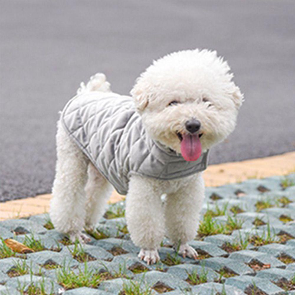 Áo Khoác Dày Không Tay Thời Trang Mùa Đông Dành Cho Chó LAYOR1