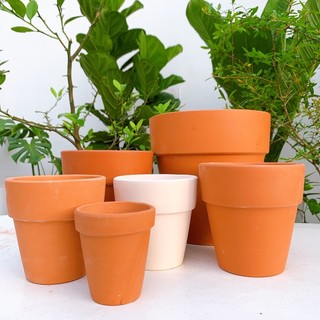 Chậu trồng cây chậu đất nung Bát Tràng ly gờ đủ size