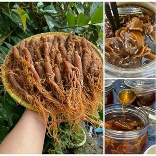 100gr Nhân sâm bồi bổ cơ thể (1 Lạng 4-5 củ)