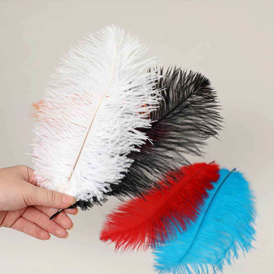 1 Lông Đà Điểu Tự Nhiên 15-20cm Nhiều Màu Sắc Dùng Làm Đồ Trang Sức / Trang Trí Tiệc Cưới / Giáng Sinh