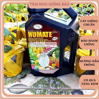 Phân HUMATE