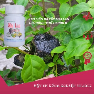 Keo liền da cây mai lan, keo liền sẹo, liền da cây cho bonsai cây cảnh - 100gr