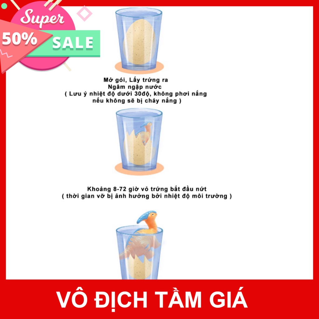 Trứng Khủng Long Ngâm Trong Nước Có Thể Nở Ra Khủng Long, Đồ Chơi Rèn Tính Kiên Nhẫn Và Trí Tuệ Cho Bé