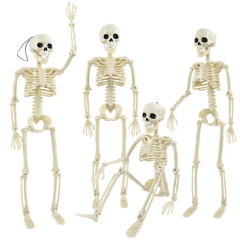 Mô Hình Bộ Xương Người Bằng Nhựa Tăng Chiều Cao 40cm Trang Trí Halloween