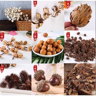 Set Hoa Qủa Khô, Trái thông khô tự nhiên, Lá khô trang trí chụp ảnh, làm handmade
