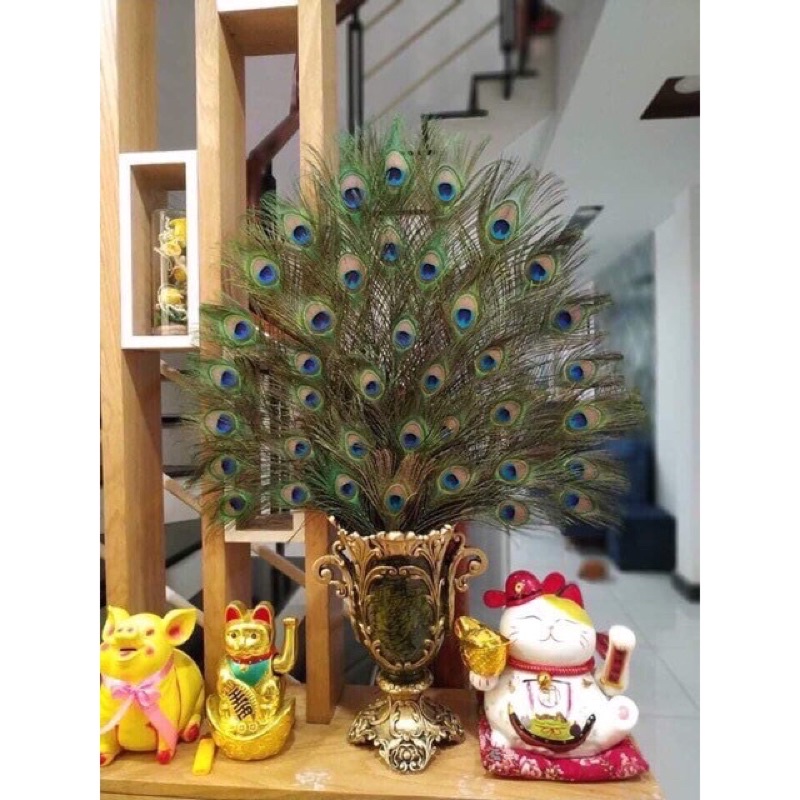 Lông công tự nhiên size 25cm trang trí tết, làm tháp oản, tháp bánh siêu đẹp và hàng có sẵn