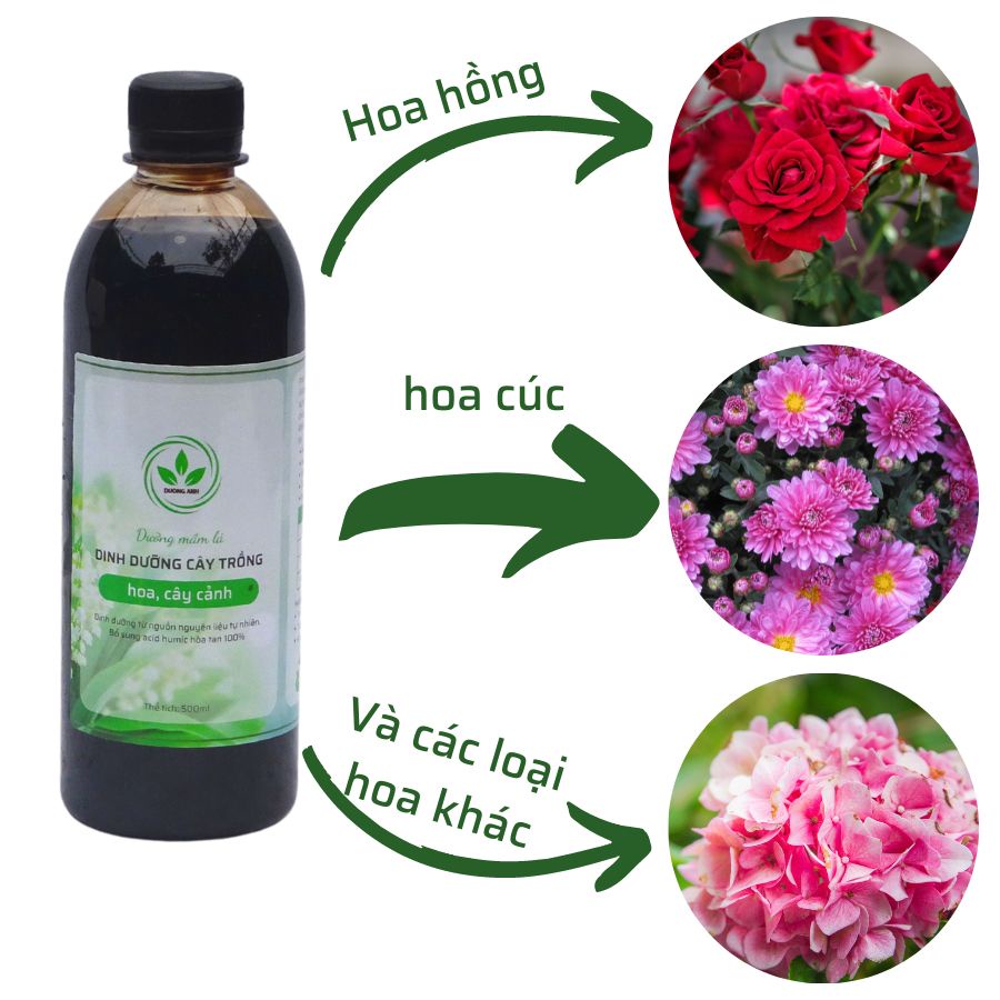 Phân dưỡng mầm lá cho hoa hồng | cải tạo đất, kích thích rễ | dưỡng mầm và hoa phát triển, phòng vàng lá gân xanh