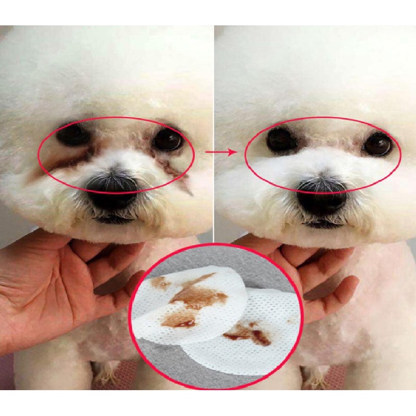 Bông lau mắt cho chó mèo kháng khuẩn Hộp 130 Miếng - Khăn lau mắt hàng ngày vệ sinh cho thú cưng