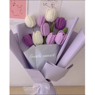 Hoa Len Tulip