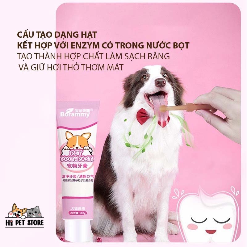 Bộ dụng cụ chăm sóc răng miệng cho thú cưng bao gồm kem đánh răng, xịt thơm miệng, bàn chải