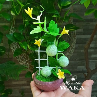 Hoa Đất Sét Mini- Dưa Lưới 15cm