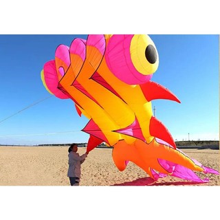 DIỀU KHÍ ĐỘNG HỌC - CÁ GOLD FISH 5.5M

