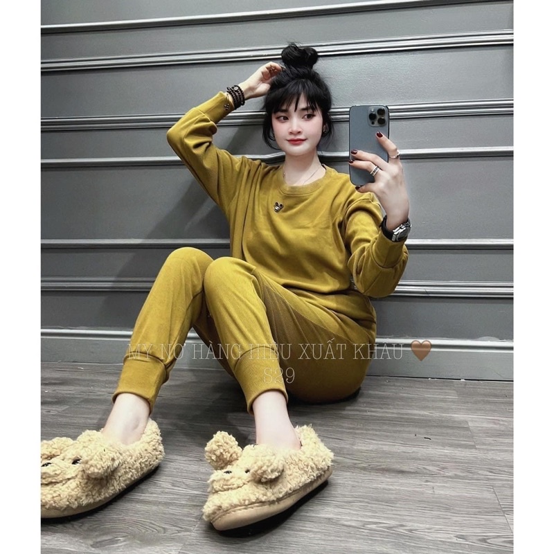 BỘ Tăm NHUNG TAG GẤU , bộ nữ , bộ thể thao nữ , bộ nhunv tăm nữ