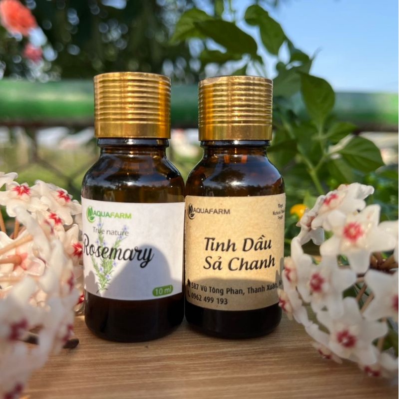 Tinh dầu sả chanh nguyên chất xông phòng, đuổi muỗi, sát khuẩn