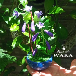 Hoa Đất Sét Mini- Cà Tím 15cm