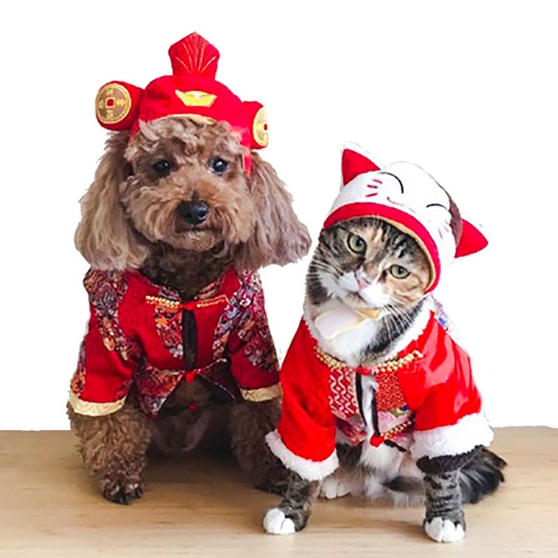 Mũ Mềm Mại Và Dễ Vệ Sinh Cho Thú Cưng