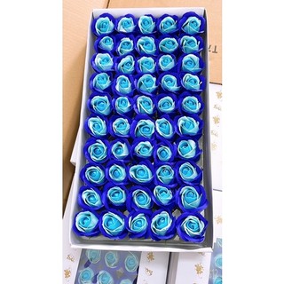 Hoa sáp 3l loại 1