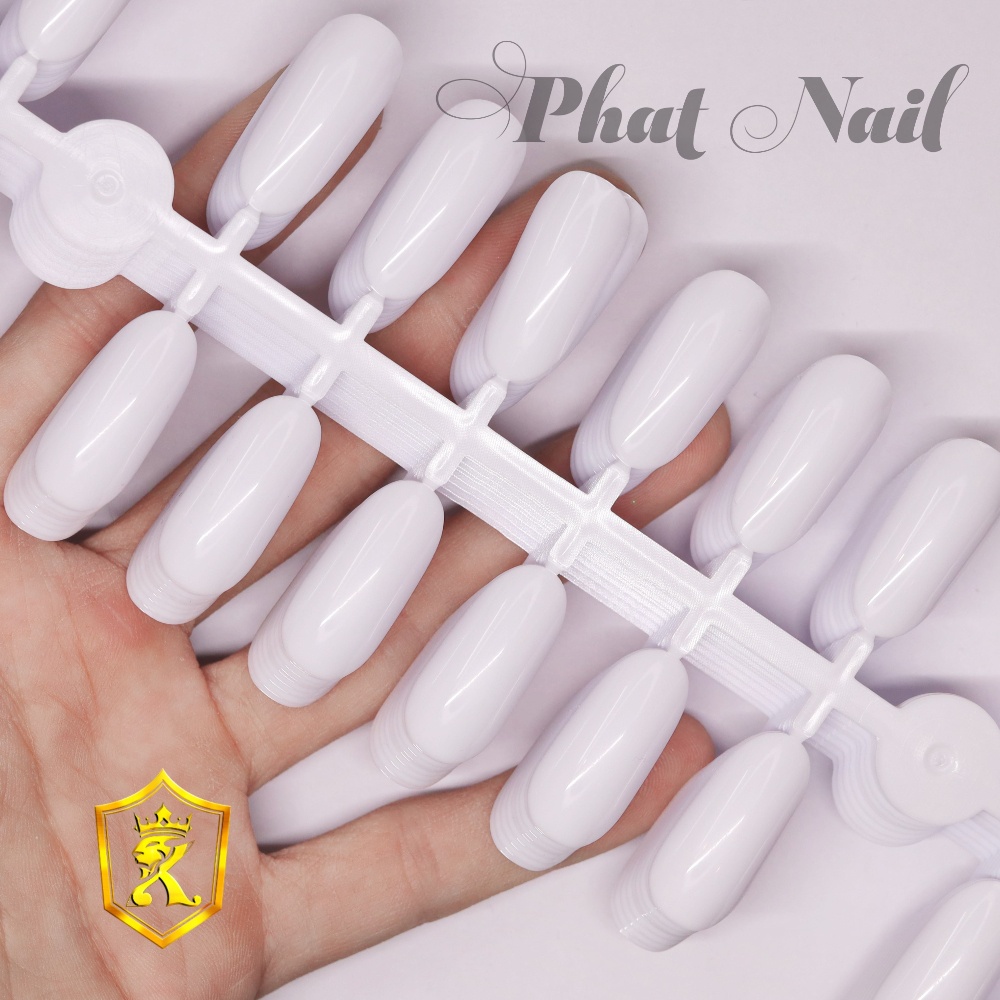 Set 10 vỉ móng vẽ mẫu cho salon