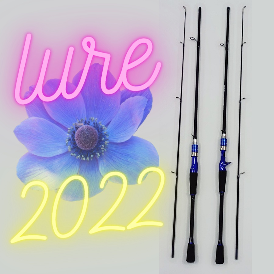 Cần Câu Lure DAIWA 2022 Carbon Cao