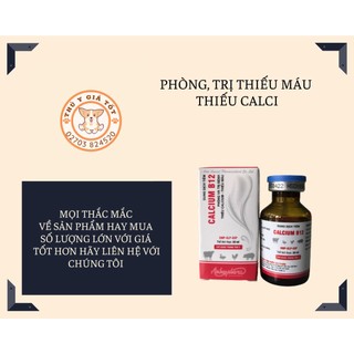 Calcium b12 20ml thiếu máu, thiếu calci ở thú cưng