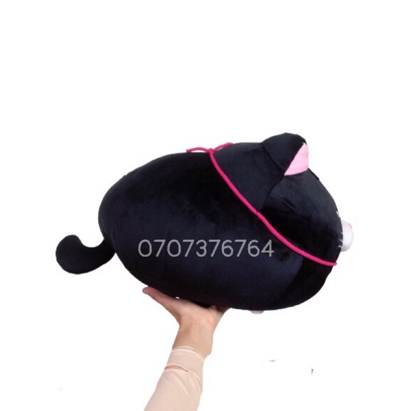 HOẢ TỐC  50cm-35cm GẤU BÔNG MÈO ĐEN Ú JENNIFER Dễ Thương-Chất Miniso Mềm - Xịn Xò